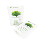 Logo d'impression personnalisé écologique100g 250g Sac d'emballage Stand Up Pouch Kraft Paper Sac de poudre de thé de café
